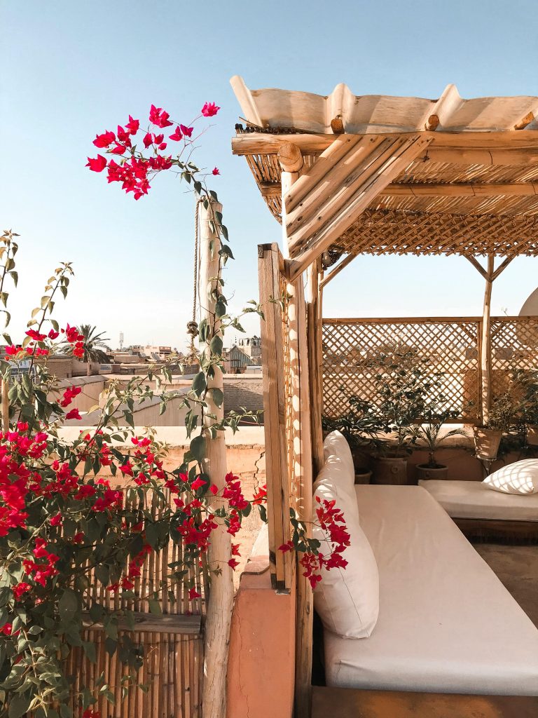 Tranquil patio featuring vibrant red blooms and rustic wooden seating in daylight.