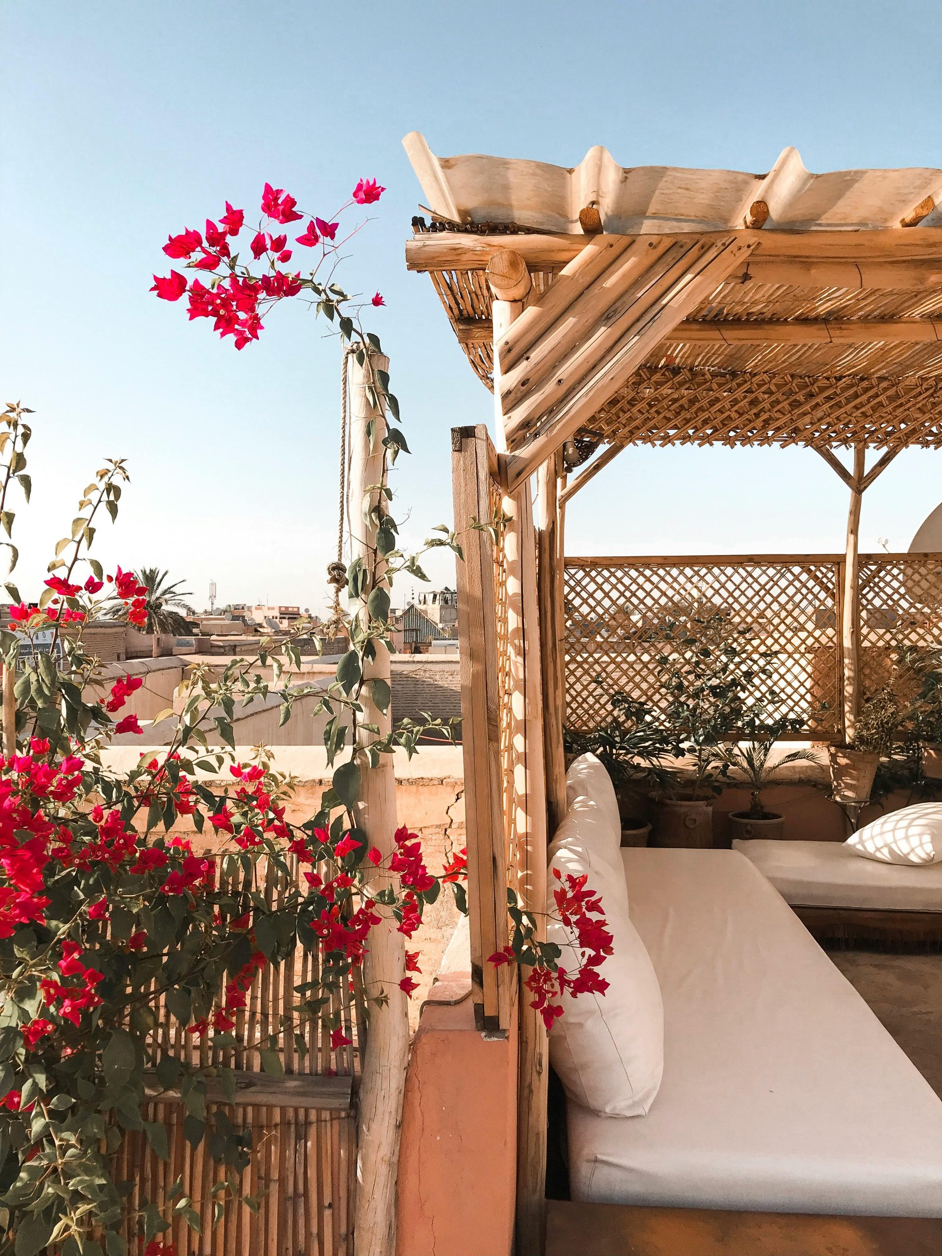 Tranquil patio featuring vibrant red blooms and rustic wooden seating in daylight.